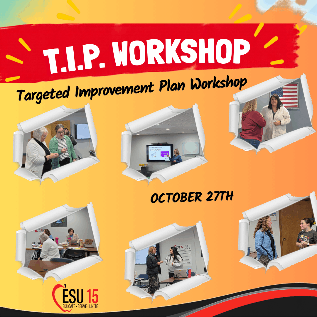 🎯 TARGETED IMPROVEMENT PLAN (TIP) WORKSHOP🎯